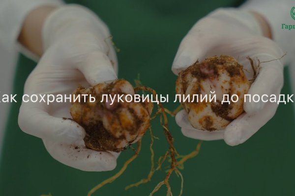 Как попасть на кракен с айфона
