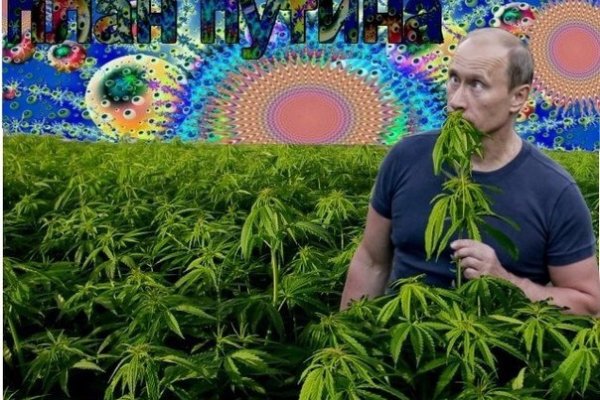 Кракен продает наркотики