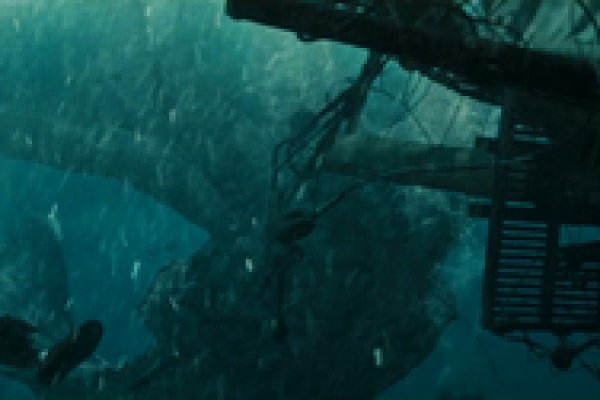 Kraken kraken link24 info