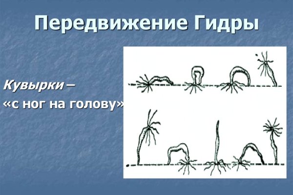 Как зайти на кракен тор