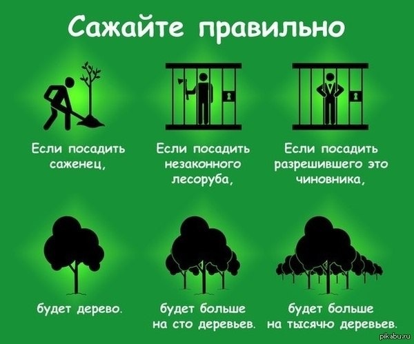 Сайты типа гидры
