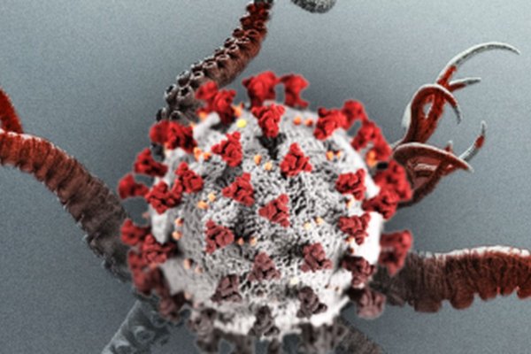 Кракен клирнет ссылка