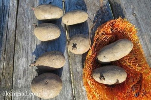 Dark net официальный сайт